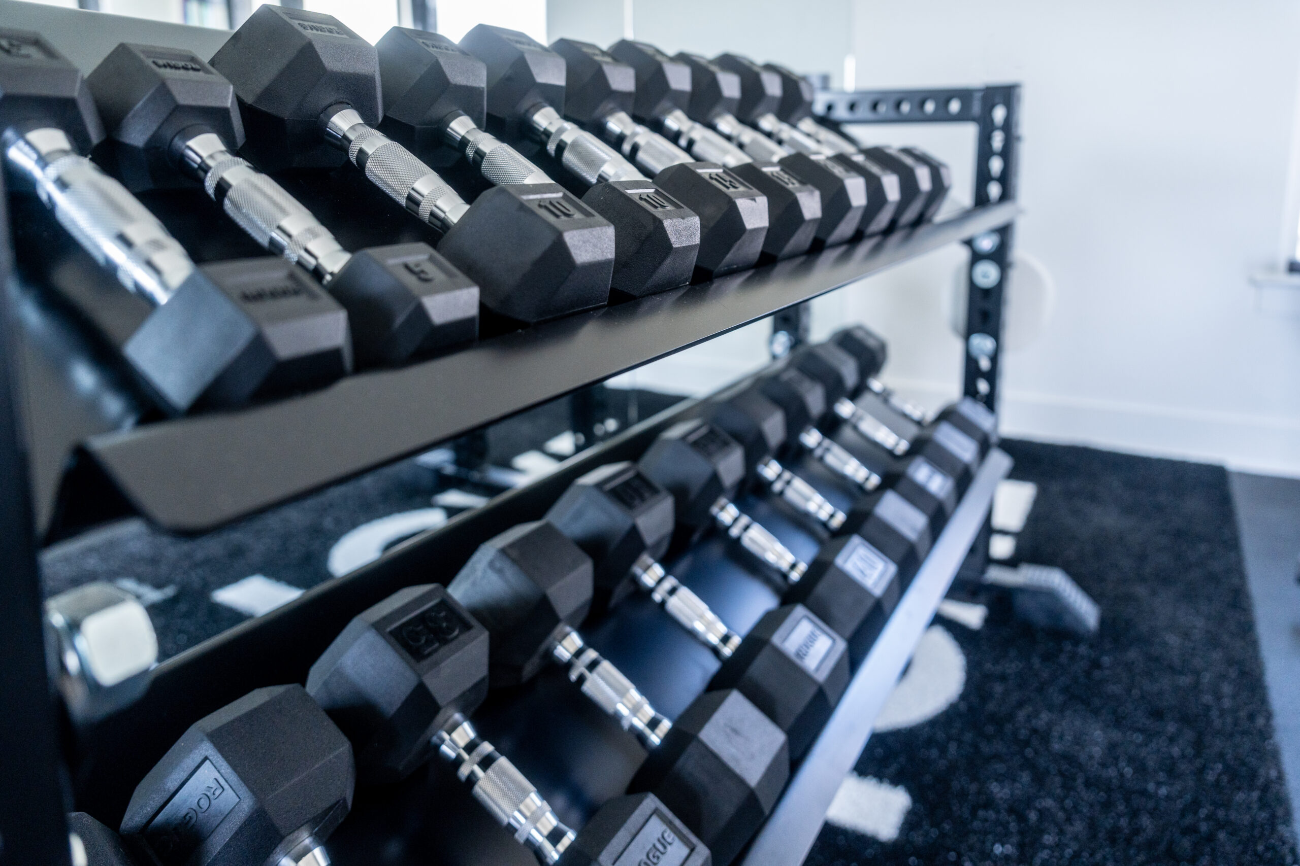 Barta Gym Build-10