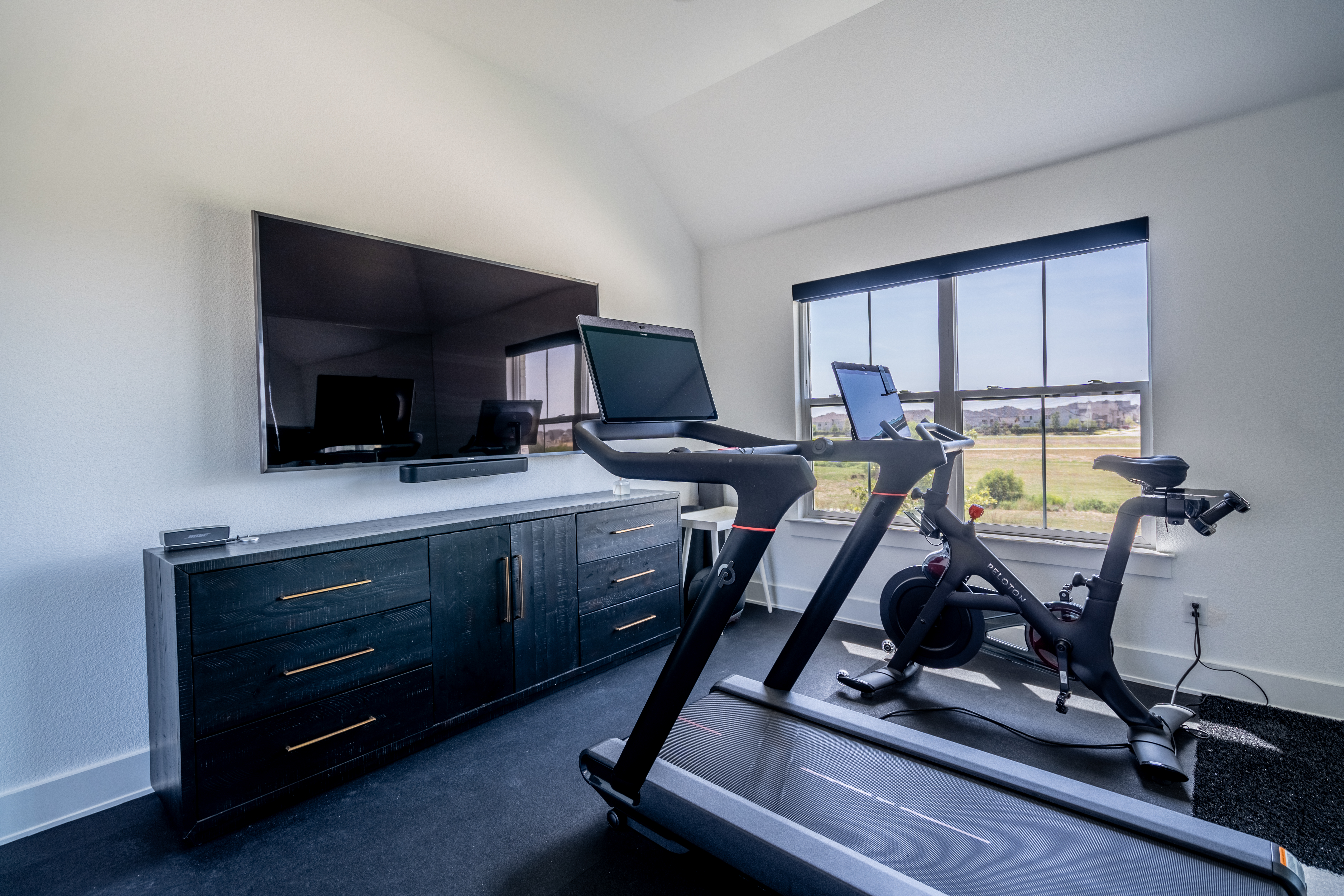 Barta Gym Build-3